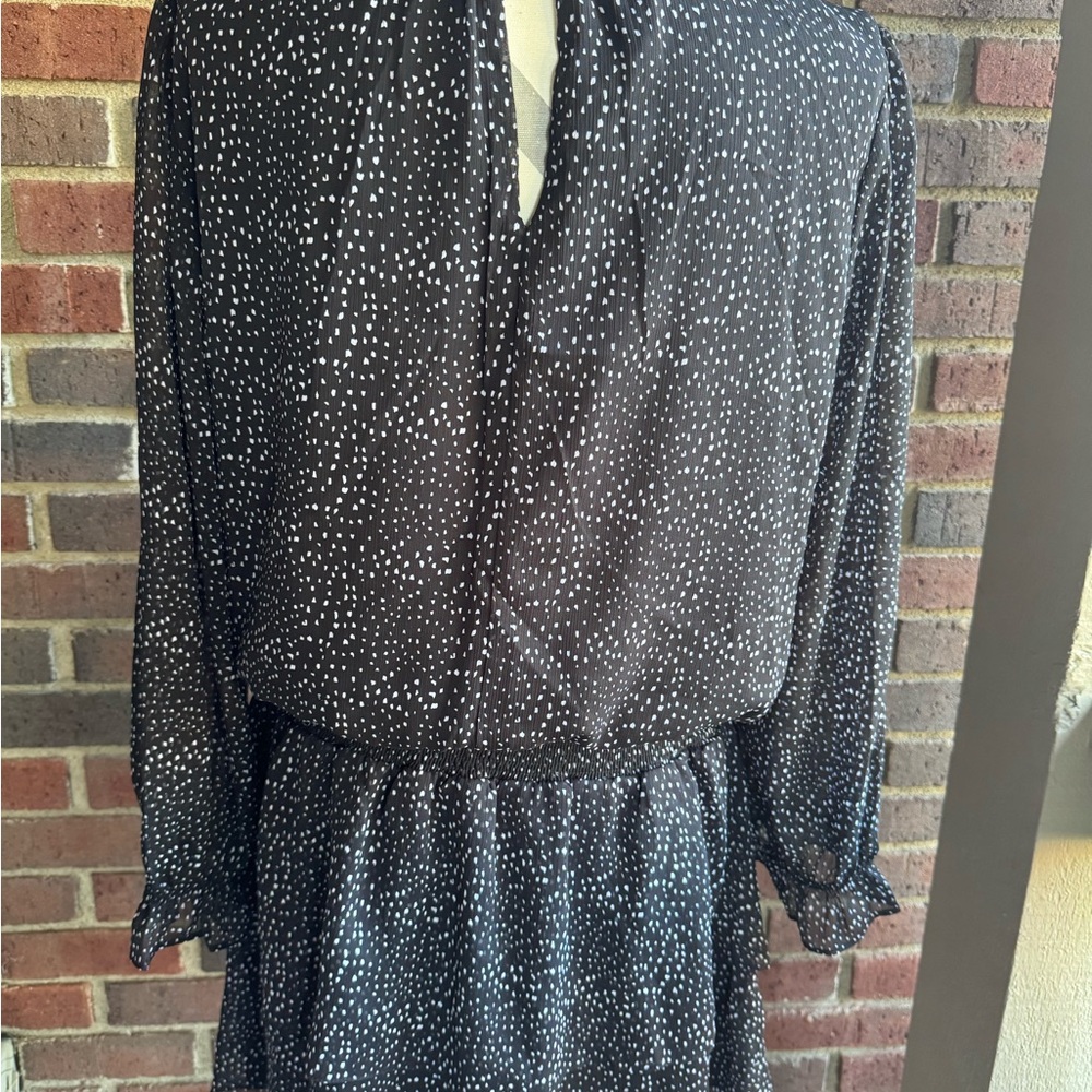 Express Dress - Picture 6 of 10